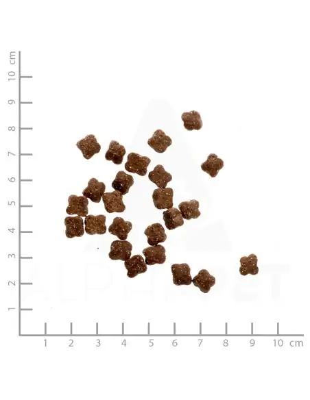 Huhn & Lachs 1.2 kg mit Gemüse und Wildkräutern