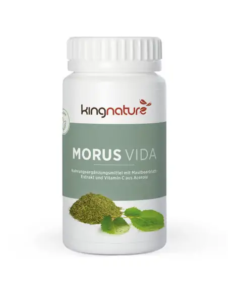 Morus Vida 72 Kapseln Morus Vida 72 Kapseln