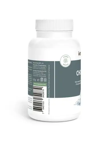 Cholin Vida 90 Kapseln